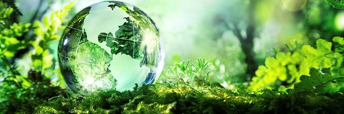 ISO 14001:2015 Internal Auditor Training