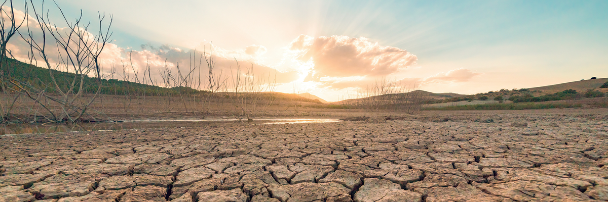 ISO 14092:2026 İklim Riskini Stratejik Dayanıklılığa Dönüştürmek
